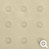 safetread blister on street tactile plate